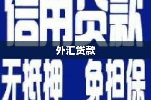六合外汇贷款