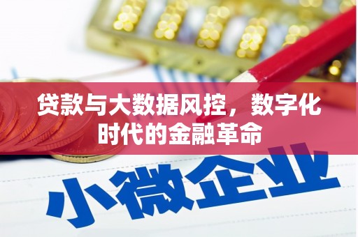 六合贷款与大数据风控，数字化时代的金融革命