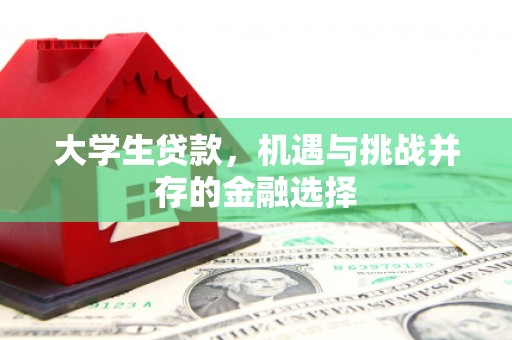 六合大学生贷款，机遇与挑战并存的金融选择