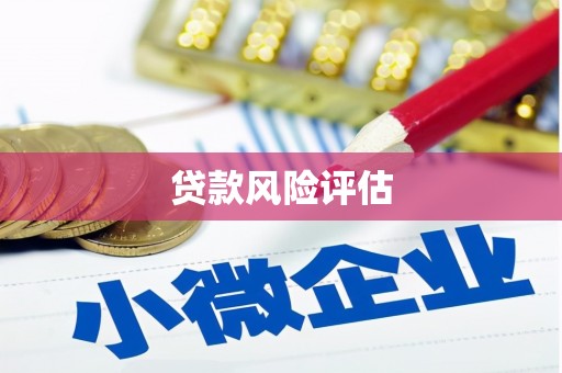 六合贷款风险评估
