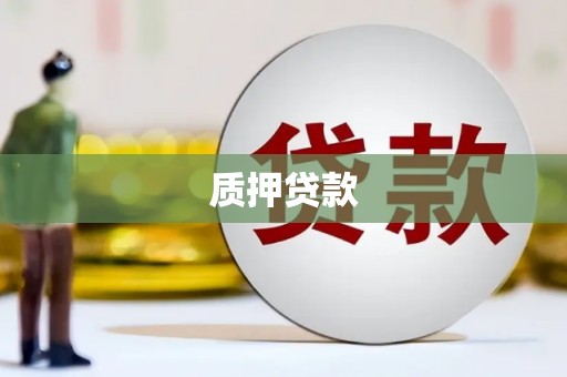 六合质押贷款
