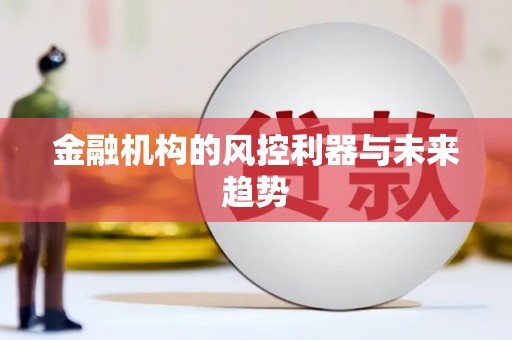 六合金融机构的风控利器与未来趋势