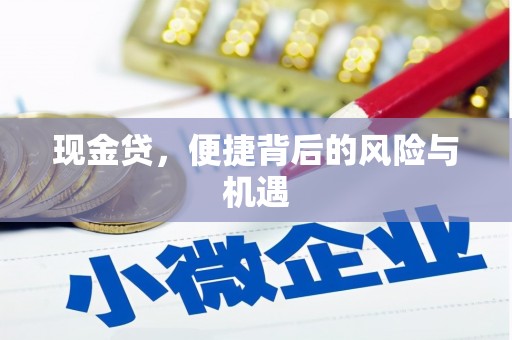 六合现金贷，便捷背后的风险与机遇