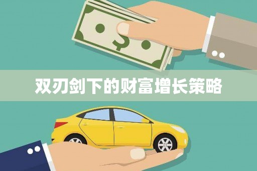 六合双刃剑下的财富增长策略