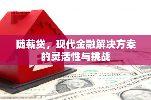 六合随薪贷，现代金融解决方案的灵活性与挑战