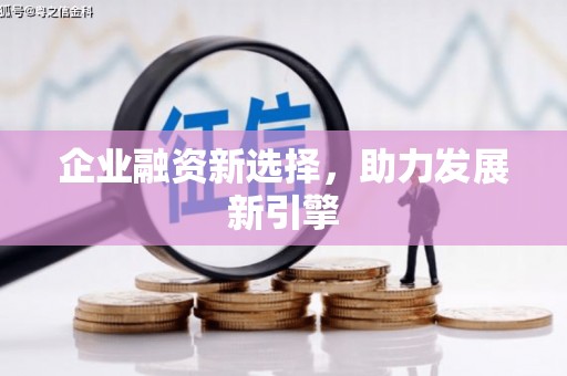 六合企业融资新选择，助力发展新引擎