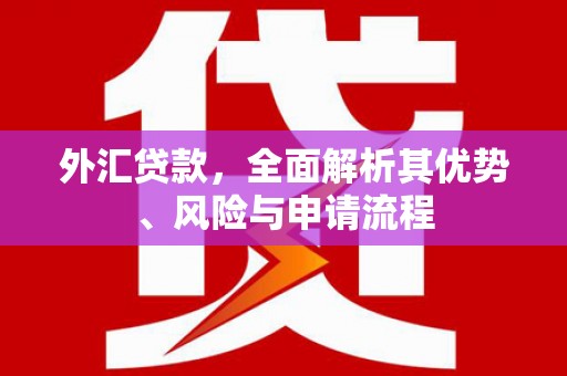 六合外汇贷款，全面解析其优势、风险与申请流程