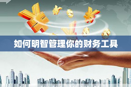 六合如何明智管理你的财务工具