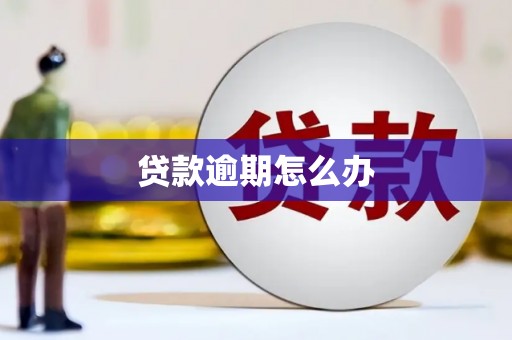 六合贷款逾期怎么办