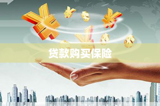 六合贷款购买保险