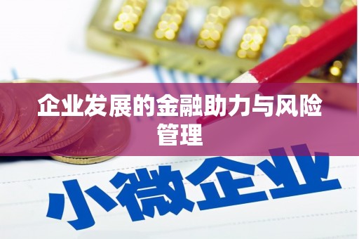 六合企业发展的金融助力与风险管理