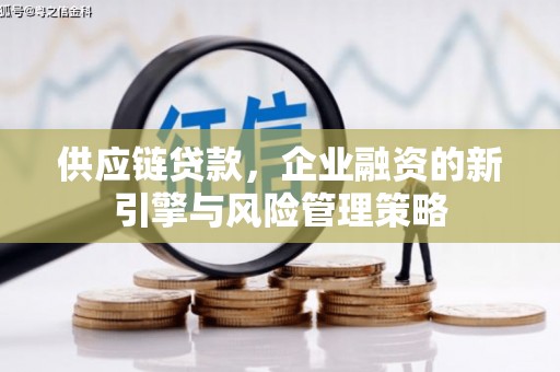 六合供应链贷款，企业融资的新引擎与风险管理策略