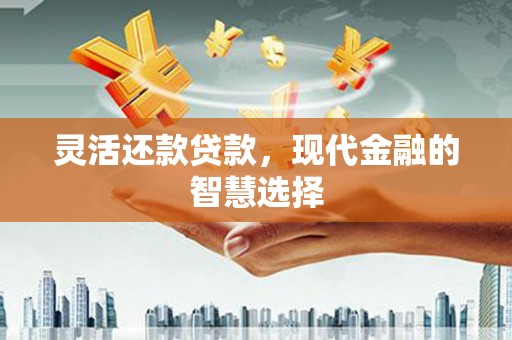 六合灵活还款贷款，现代金融的智慧选择