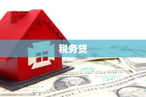 六合税务贷