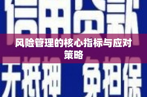 六合风险管理的核心指标与应对策略