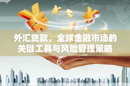 六合外汇贷款，全球金融市场的关键工具与风险管理策略