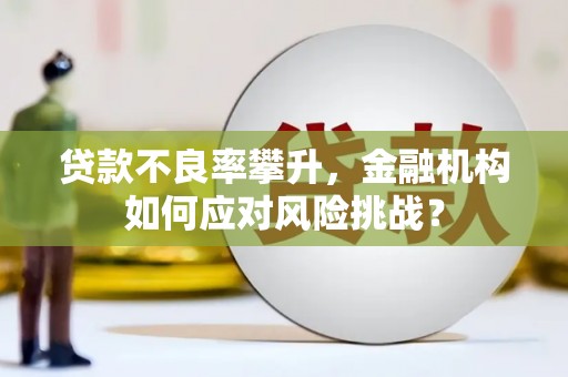 六合贷款不良率攀升，金融机构如何应对风险挑战？
