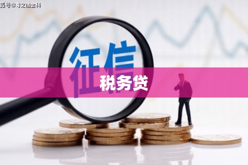 六合税务贷