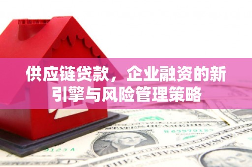 六合供应链贷款，企业融资的新引擎与风险管理策略