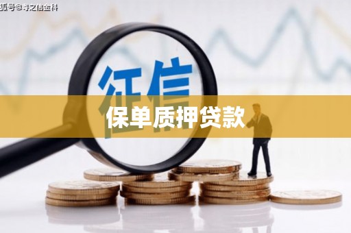 六合保单质押贷款