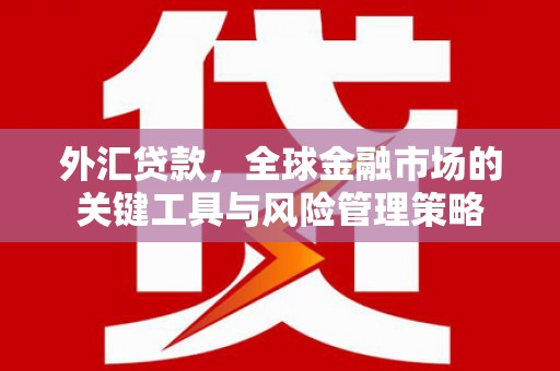六合外汇贷款，全球金融市场的关键工具与风险管理策略