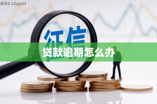 六合贷款逾期怎么办