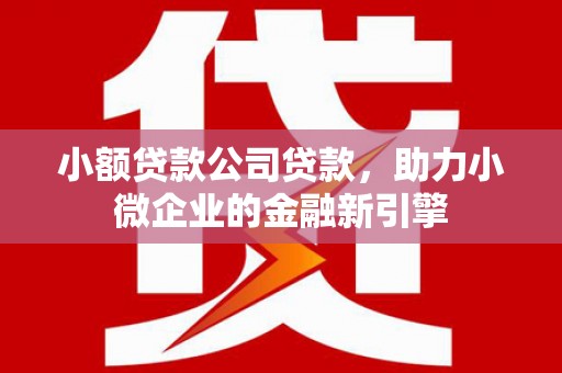 六合小额贷款公司贷款，助力小微企业的金融新引擎