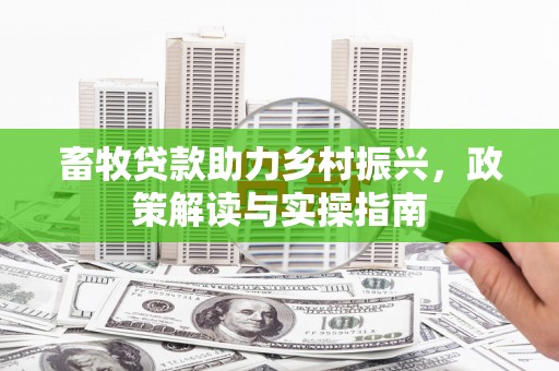六合畜牧贷款助力乡村振兴，政策解读与实操指南
