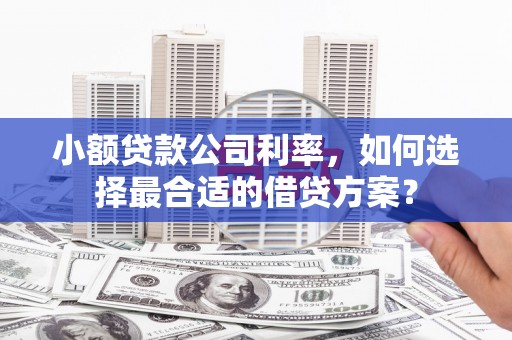 六合小额贷款公司利率，如何选择最合适的借贷方案？