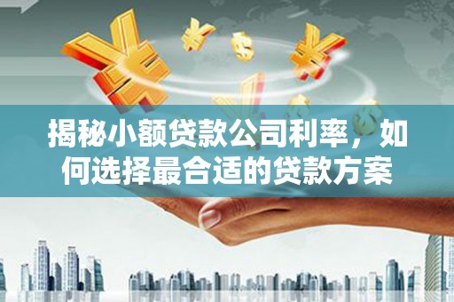 六合揭秘小额贷款公司利率，如何选择最合适的贷款方案