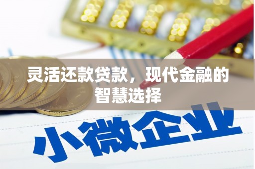 六合灵活还款贷款，现代金融的智慧选择