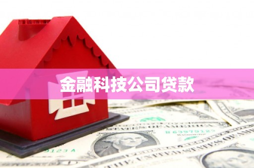 六合金融科技公司贷款