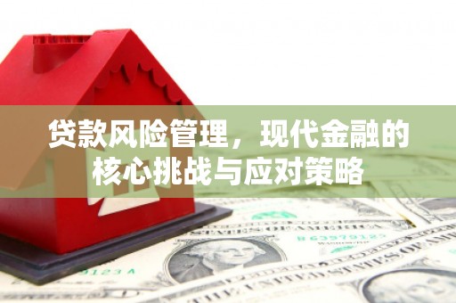 六合贷款风险管理，现代金融的核心挑战与应对策略
