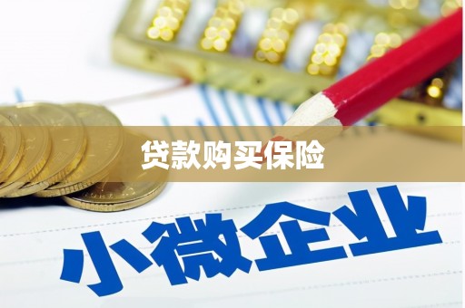 六合贷款购买保险