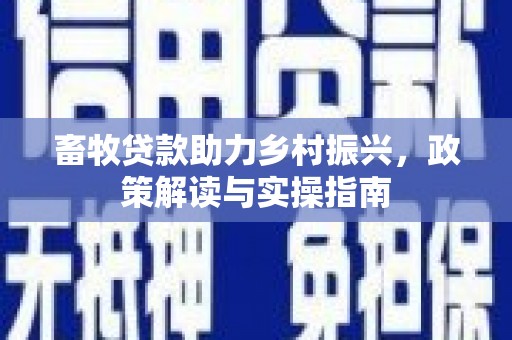 六合畜牧贷款助力乡村振兴，政策解读与实操指南