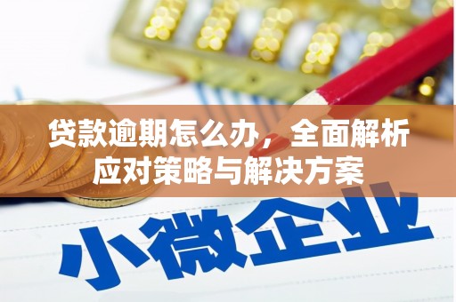 六合贷款逾期怎么办，全面解析应对策略与解决方案
