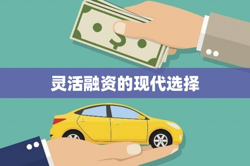 六合灵活融资的现代选择