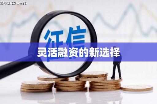 六合灵活融资的新选择