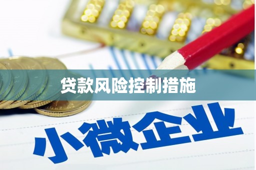 六合贷款风险控制措施