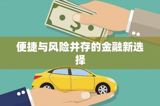 六合便捷与风险并存的金融新选择
