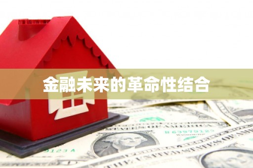 六合金融未来的革命性结合
