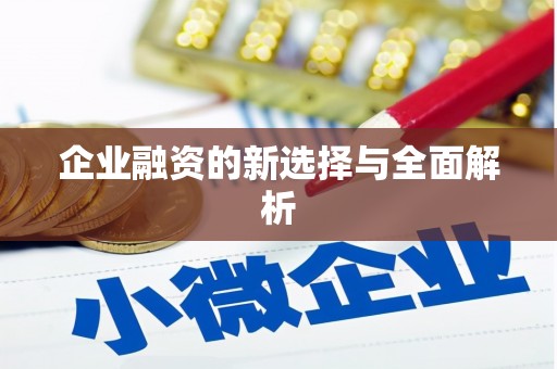 六合企业融资的新选择与全面解析