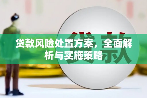 六合贷款风险处置方案，全面解析与实施策略