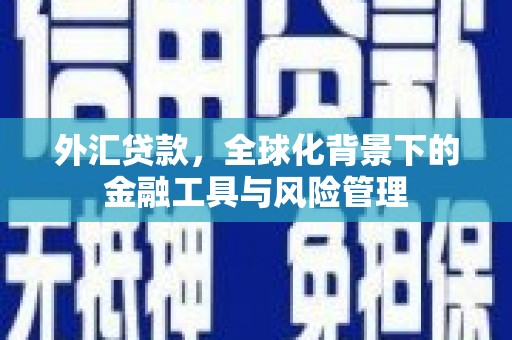 六合外汇贷款，全球化背景下的金融工具与风险管理