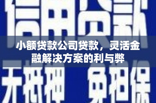 六合小额贷款公司贷款，灵活金融解决方案的利与弊